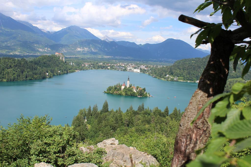 Apartma Neza Bled Buitenkant foto